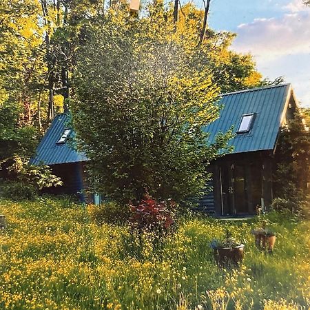 White Hill Lodge - Rustic Cabin Set In A Stunning Meadow Sevenoaks Eksteriør billede