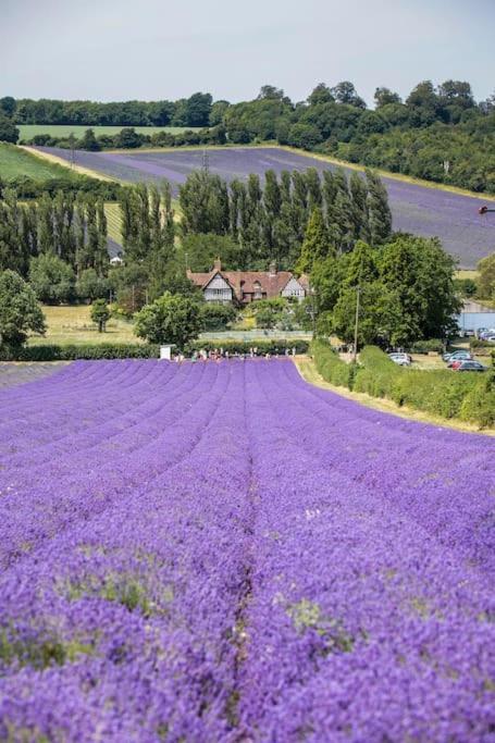 White Hill Lodge - Rustic Cabin Set In A Stunning Meadow Sevenoaks Eksteriør billede