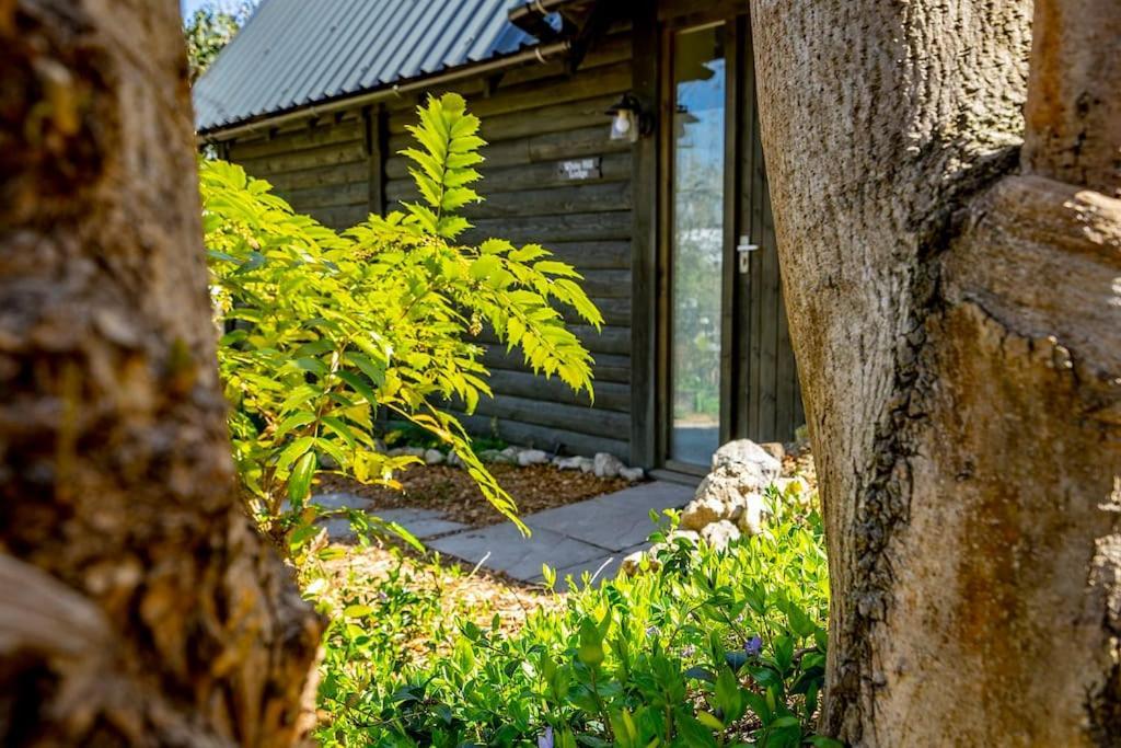 White Hill Lodge - Rustic Cabin Set In A Stunning Meadow Sevenoaks Eksteriør billede