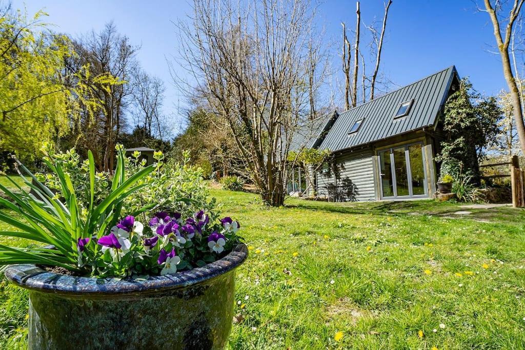 White Hill Lodge - Rustic Cabin Set In A Stunning Meadow Sevenoaks Eksteriør billede