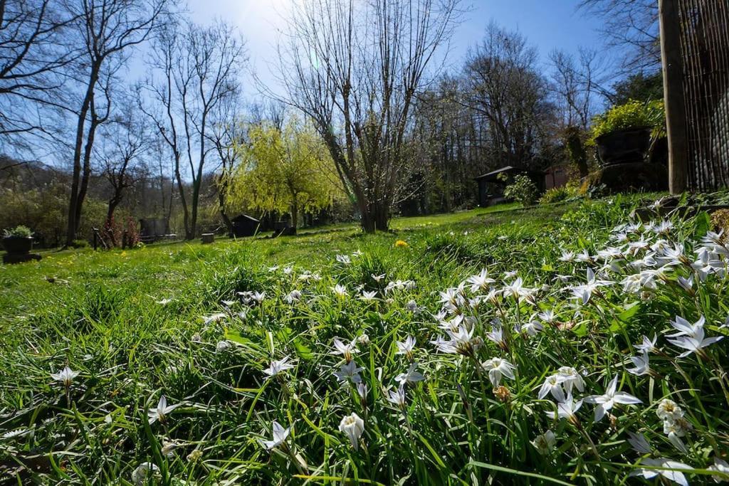 White Hill Lodge - Rustic Cabin Set In A Stunning Meadow Sevenoaks Eksteriør billede