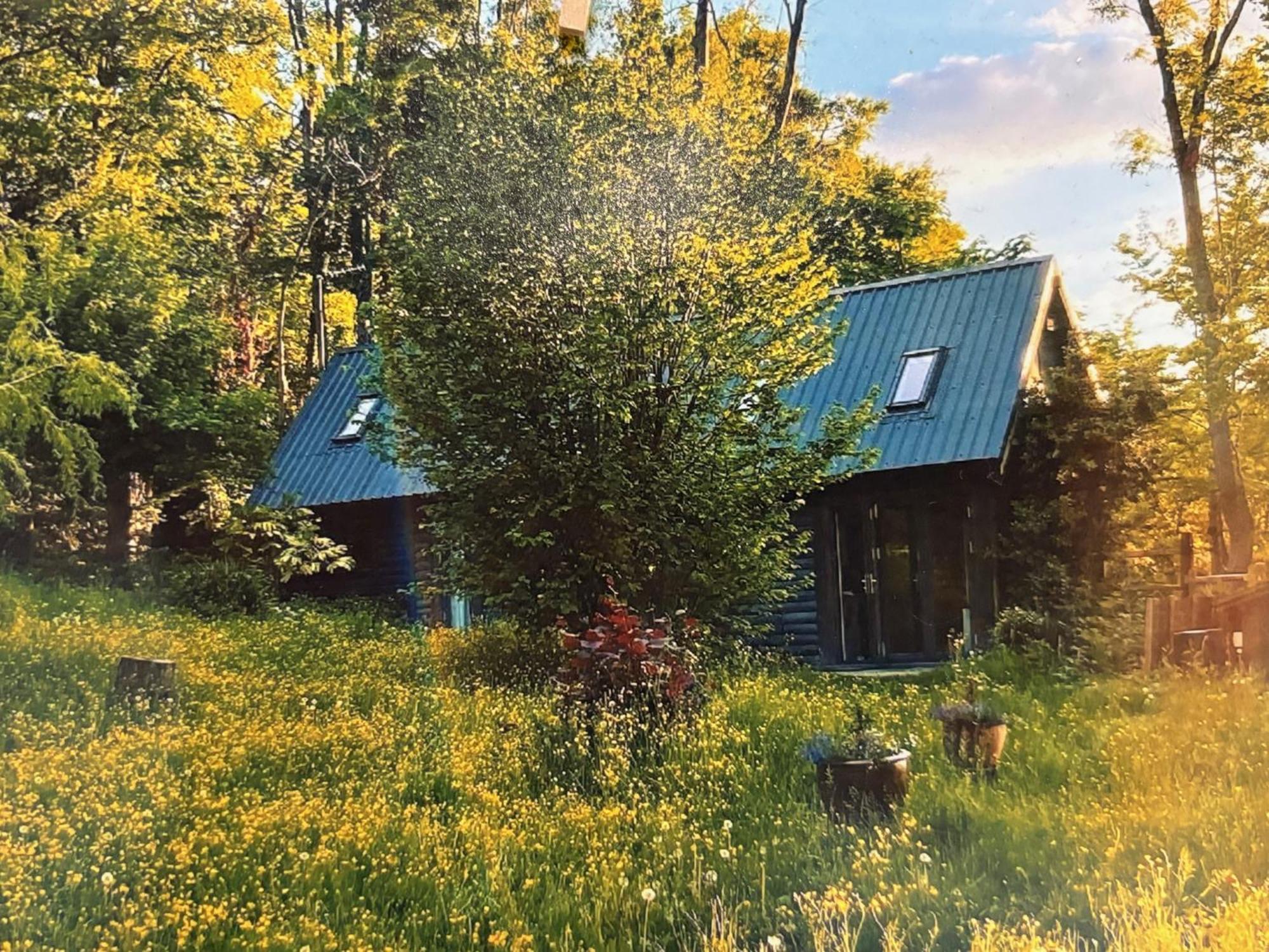 White Hill Lodge - Rustic Cabin Set In A Stunning Meadow Sevenoaks Eksteriør billede