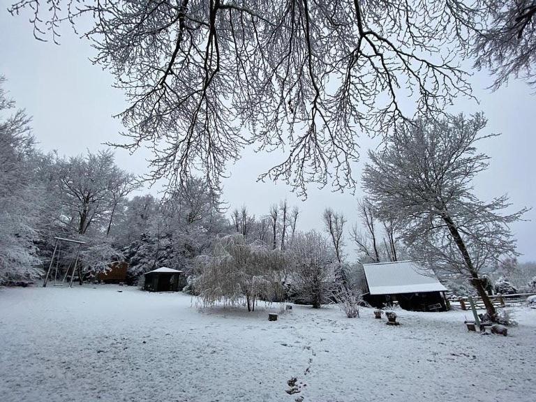 White Hill Lodge - Rustic Cabin Set In A Stunning Meadow Sevenoaks Eksteriør billede
